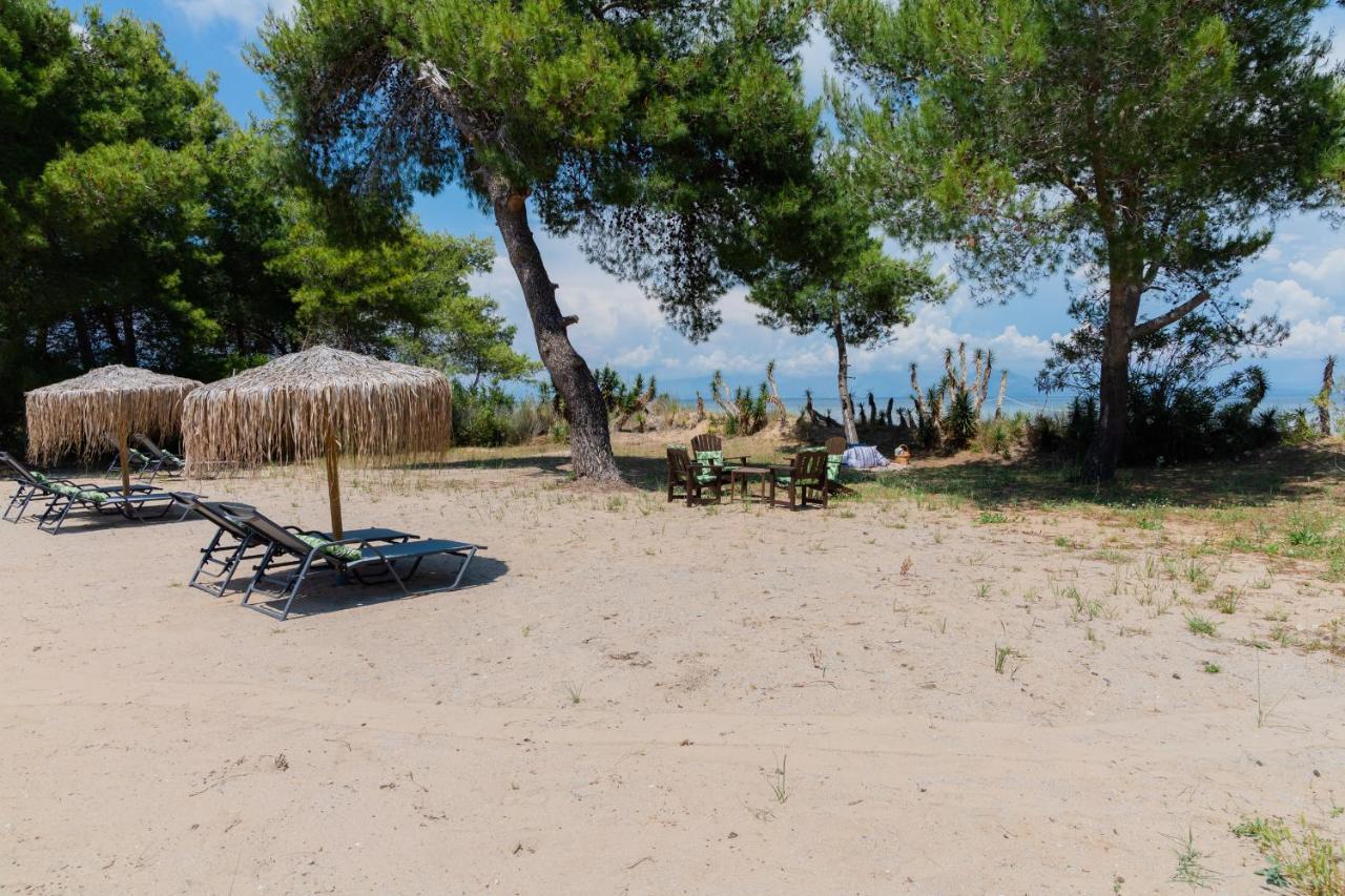 Sunrise Villa, - Garden Gate Opens Onto The