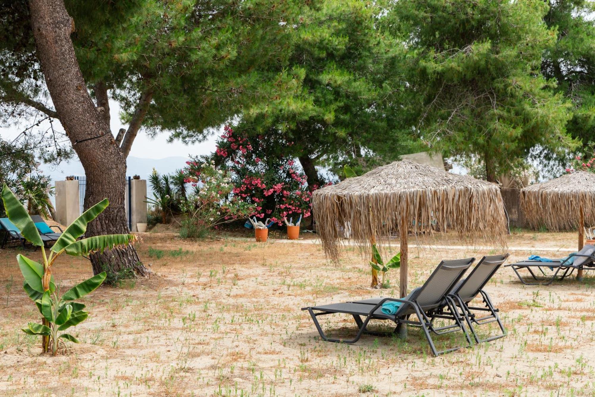 Sunrise Villa, - Garden Gate Opens Onto The *